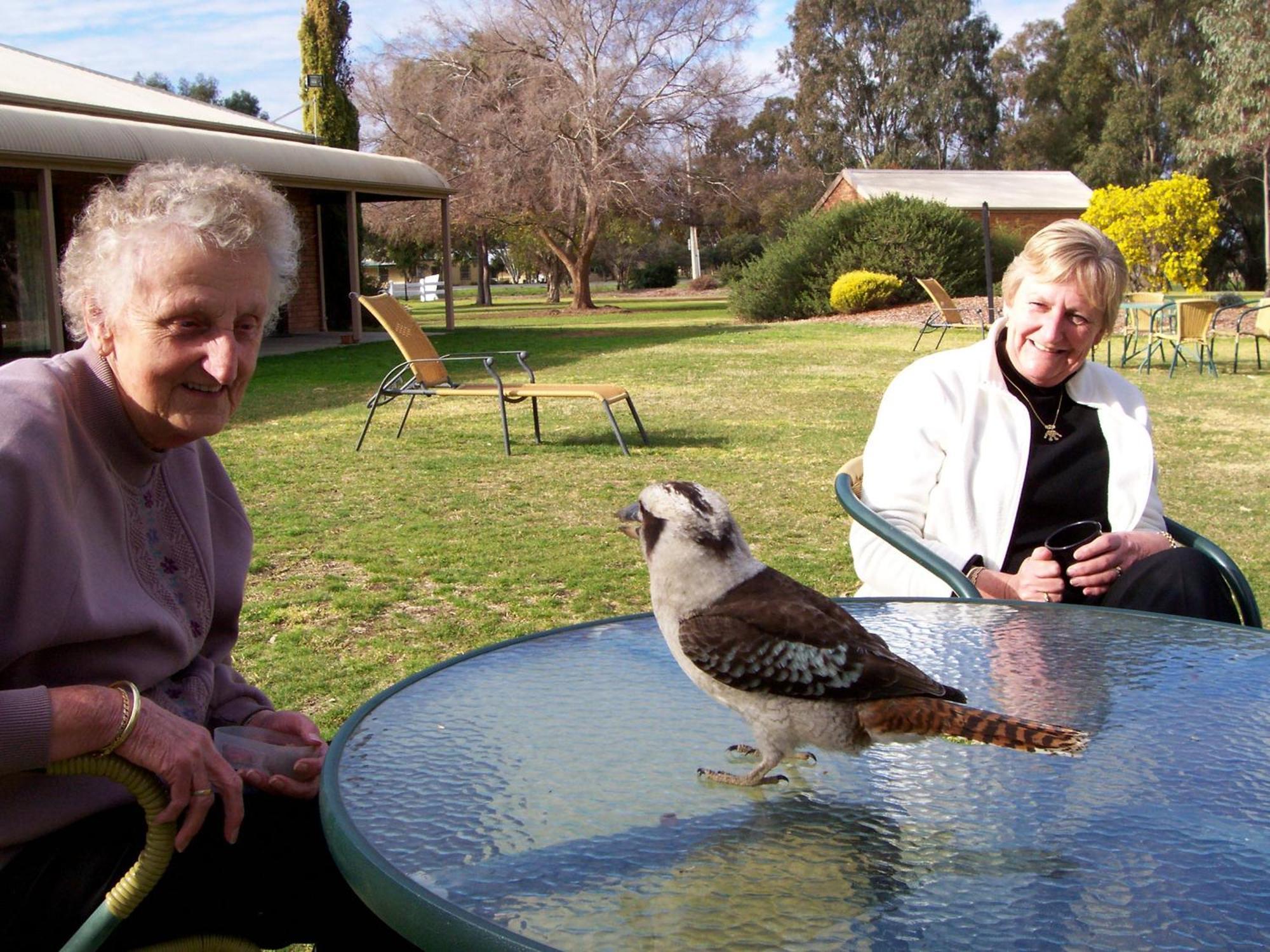Cadell On The Murray Motel Moama Exterior foto